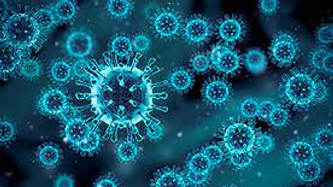 TN Corona: தவிக்கும் தமிழகம்… 29 ஆயிரத்தை நெருங்கும் ஒருநாள் பாதிப்பு… அதிகரிக்கும் கொரோனாவால் மக்கள் அச்சம்!! TN Corona: தவிக்கும் தமிழகம்… 29 ஆயிரத்தை நெருங்கும் ஒருநாள் பாதிப்பு… அதிகரிக்கும் கொரோனாவால் மக்கள் அச்சம்!!