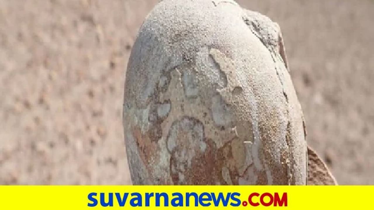 ಅತ್ಯಂತ ಪುರಾತನ ಮಾನವ ಪಳೆಯುಳಿಕೆ ಪತ್ತೆ, ಬಯಲಾಗಲಿದೆ 2,30,000 ವರ್ಷ ಹಳೇ ರಹಸ್ಯ! ಅತ್ಯಂತ ಪುರಾತನ ಮಾನವ ಪಳೆಯುಳಿಕೆ ಪತ್ತೆ, ಬಯಲಾಗಲಿದೆ 2,30,000 ವರ್ಷ ಹಳೇ ರಹಸ್ಯ!