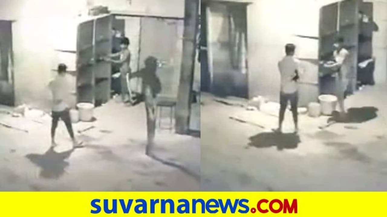 Davanagere: 6 ಫೈಟರ್ ಕೋಳಿ ಕದ್ದೊಯ್ದ ಕಳ್ಳರು: ಕೈಚಳಕ ಸಿಸಿಟಿವಿಯಲ್ಲಿ ಸೆರೆ