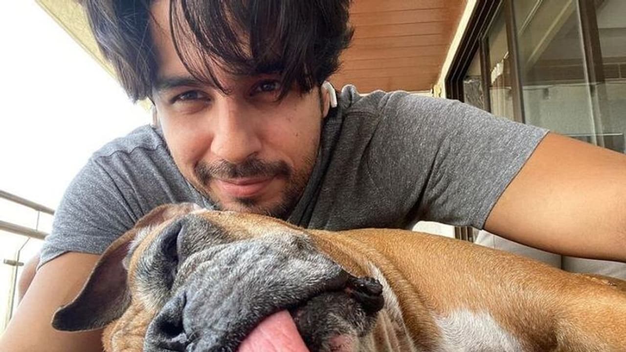 After Shilpa Shetty, Sidharth Malhotra loses his beloved partner; read his heartbreaking note