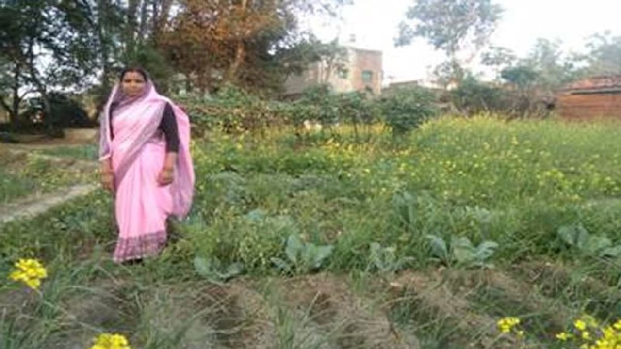 Innovative Idea: 78 लाख किसान परिवारों की बदली जिंदगी, गार्डन लगाओ, खुद शुद्ध फल सब्जियां खाओ और बेचकर कमाओ Innovative Idea: 78 लाख किसान परिवारों की बदली जिंदगी, गार्डन लगाओ, खुद शुद्ध फल सब्जियां खाओ और बेचकर कमाओ