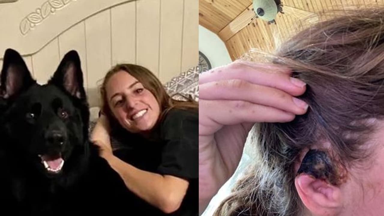 पालतू कुत्ते ने मालिक की गर्लफ्रेंड के साथ की ऐसी हैवानियत, काटकर फेंका शरीर का ये टुकड़ा पालतू कुत्ते ने मालिक की गर्लफ्रेंड के साथ की ऐसी हैवानियत, काटकर फेंका शरीर का ये टुकड़ा