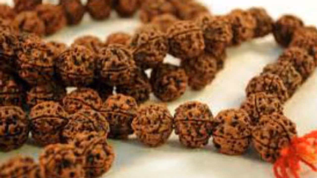 শ্রাবণ মাসে রুদ্রাক্ষ ধারন বা পূজা করে পরার আগে জেনে নিন এর সঙ্গে সম্পর্কিত সমস্ত নিয়ম শ্রাবণ মাসে রুদ্রাক্ষ ধারন বা পূজা করে পরার আগে জেনে নিন এর সঙ্গে সম্পর্কিত সমস্ত নিয়ম