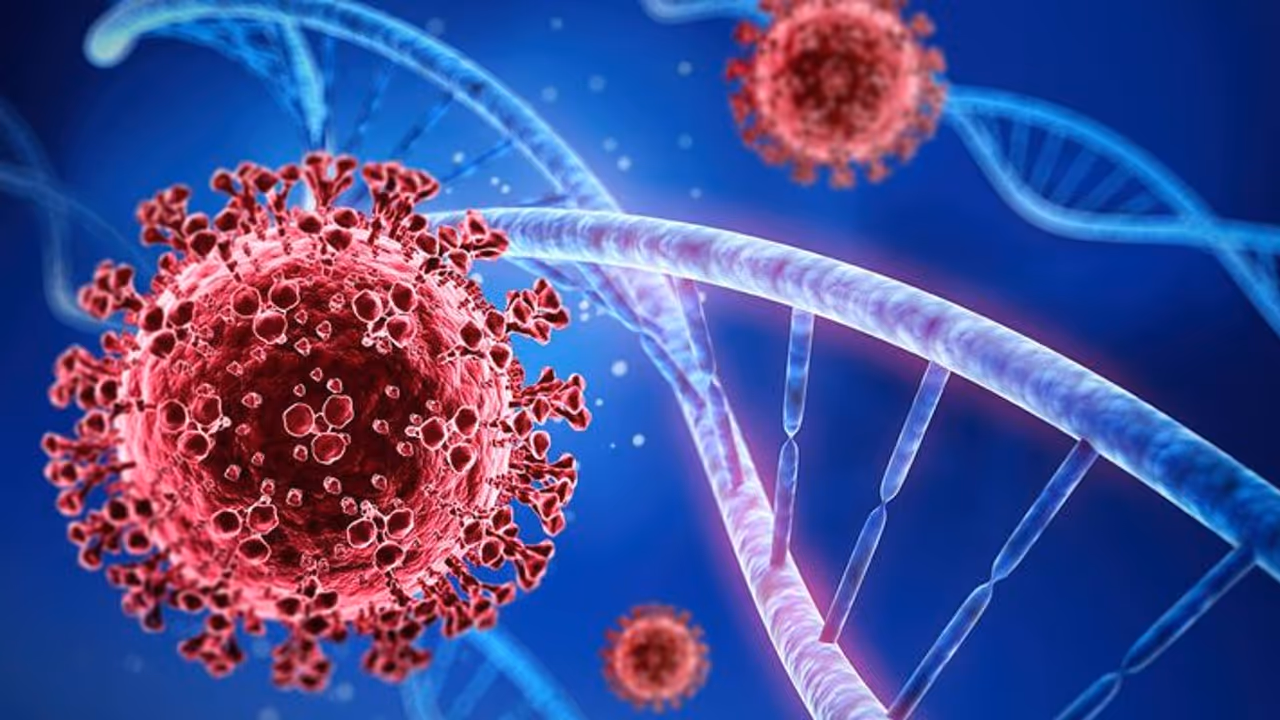 Covid 19 Update : ओमीक्रोन को कोरोना का आखिरी वैरिएंट मानना हो सकता है खतरनाक, डब्ल्यूएचओ ने दी ये चेतावनी Covid 19 Update : ओमीक्रोन को कोरोना का आखिरी वैरिएंट मानना हो सकता है खतरनाक, डब्ल्यूएचओ ने दी ये चेतावनी