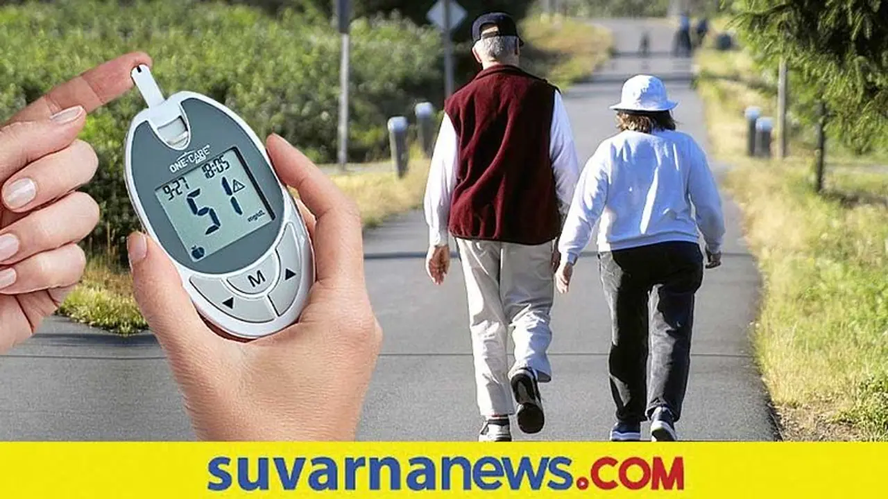 Type 2 Diabetes :ವಾಕಿಂಗ್‌ ಮಾಡುವುದರಿಂದ ದೊಡ್ಡ ರಿಲೀಫ್