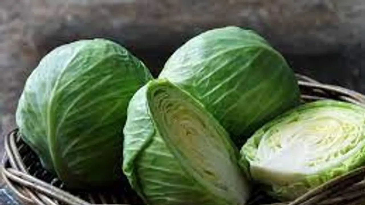 রোজ এই খাবারটি খেলে ত্বকের বয়স আর লুকোতে হবে না, ওজনও কমবে তড়তড়িয়ে রোজ এই খাবারটি খেলে ত্বকের বয়স আর লুকোতে হবে না, ওজনও কমবে তড়তড়িয়ে