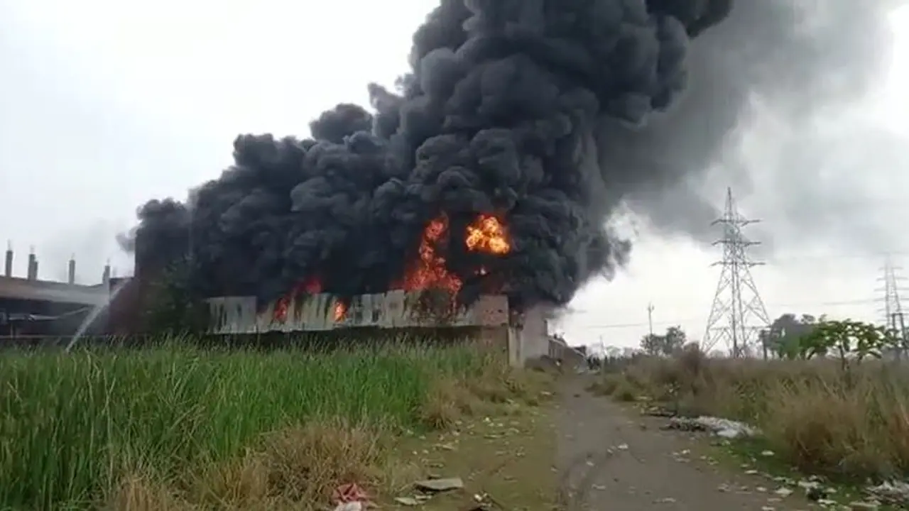 Fire Broke Out: ধোঁয়ায় ঢাকল এলাকা, ডোমজুড়ে ভস্মীভূত থার্মোকল কারখানা Fire Broke Out: ধোঁয়ায় ঢাকল এলাকা, ডোমজুড়ে ভস্মীভূত থার্মোকল কারখানা