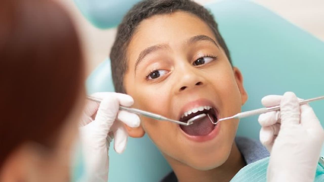 Oral Health : കുട്ടികളുടെ പല്ലിന്റെ ആരോഗ്യം സൂക്ഷിക്കാം; നാല് 'സിമ്പിള് ടിപ്സ്' Oral Health : കുട്ടികളുടെ പല്ലിന്റെ ആരോഗ്യം സൂക്ഷിക്കാം; നാല് 'സിമ്പിള് ടിപ്സ്'