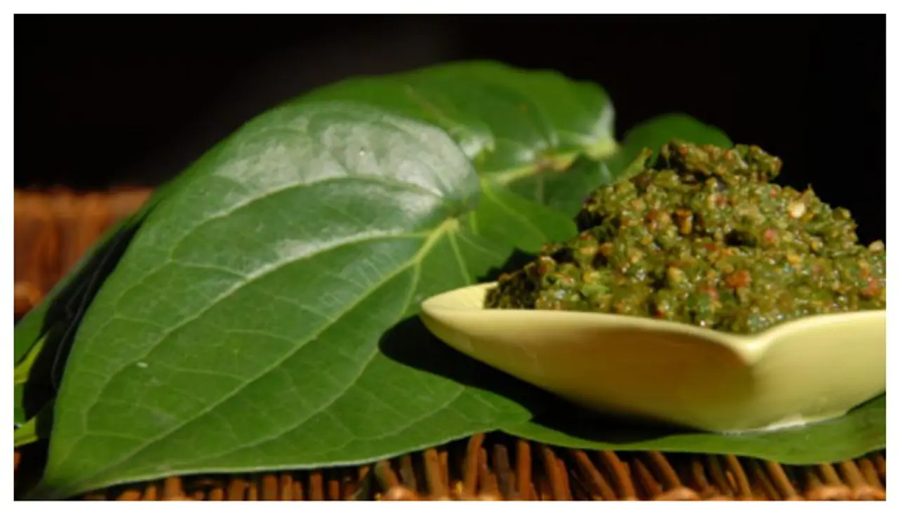 Omaicron: ஒமிக்ரானின் சளி, காய்ச்சல், இருமலுக்கு பலன் தரும் வெற்றிலை சட்னி..!! தயார் செய்வது எப்படி?