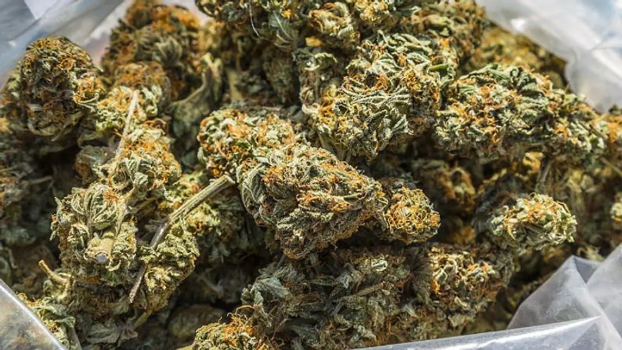 വാളയാര്‍ ചെക്ക് പോസ്റ്റില്‍ വന്‍ കഞ്ചാവ് വേട്ട; ബസില്‍ 83 പായ്ക്കറ്റ് കഞ്ചാവ്, രണ്ട് മലയാളികള്‍ പിടിയില്‍