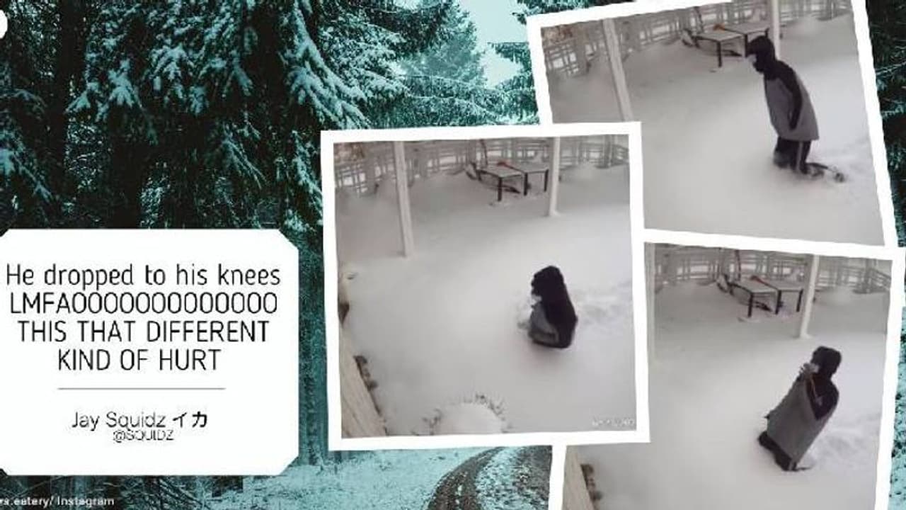 Man falls to knees : കനത്ത മഞ്ഞുതാണ്ടി റെസ്റ്റോറന്റിലേക്ക്, അടച്ചിട്ടതുകണ്ട് ഹൃദയം തകർന്ന് യുവാവ്, വീഡിയോ വൈറൽ Man falls to knees : കനത്ത മഞ്ഞുതാണ്ടി റെസ്റ്റോറന്റിലേക്ക്, അടച്ചിട്ടതുകണ്ട് ഹൃദയം തകർന്ന് യുവാവ്, വീഡിയോ വൈറൽ