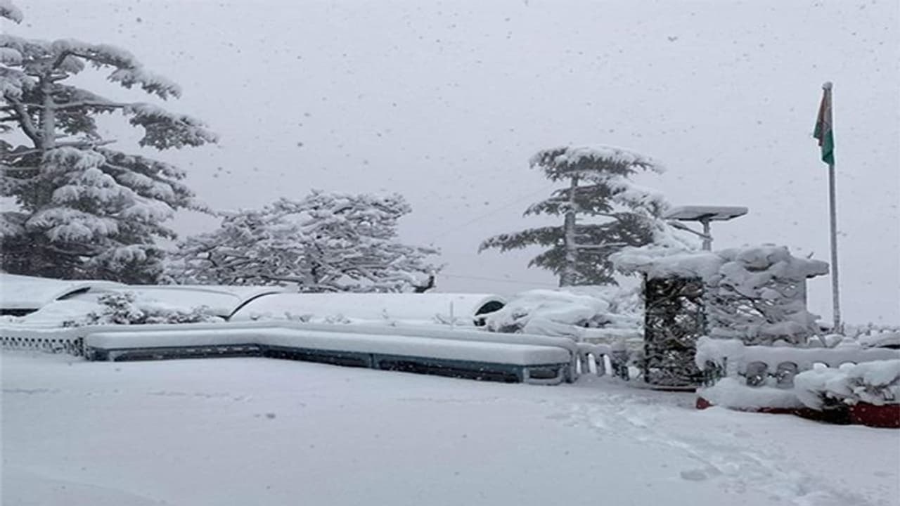 शिमला और मैक्लोडगंज समेत हिमाचल प्रदेश के कई हिस्सों में बर्फबारी का अलर्ट, पंजाब हरियाणा में भारी बारिश