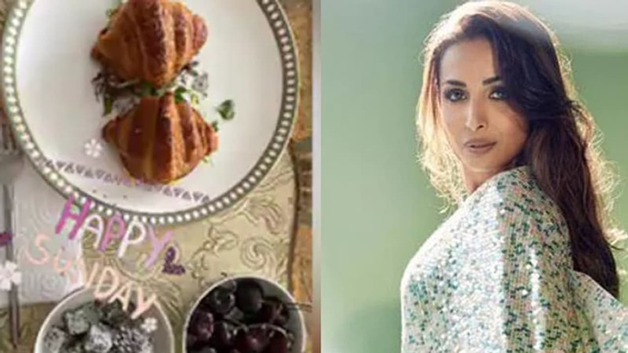 Malaika Arora : 'ഹാപ്പി സണ്ഡേ'; കൊതിപ്പിക്കുന്ന ചിത്രം പങ്കുവച്ച് മലൈക Malaika Arora : 'ഹാപ്പി സണ്ഡേ'; കൊതിപ്പിക്കുന്ന ചിത്രം പങ്കുവച്ച് മലൈക