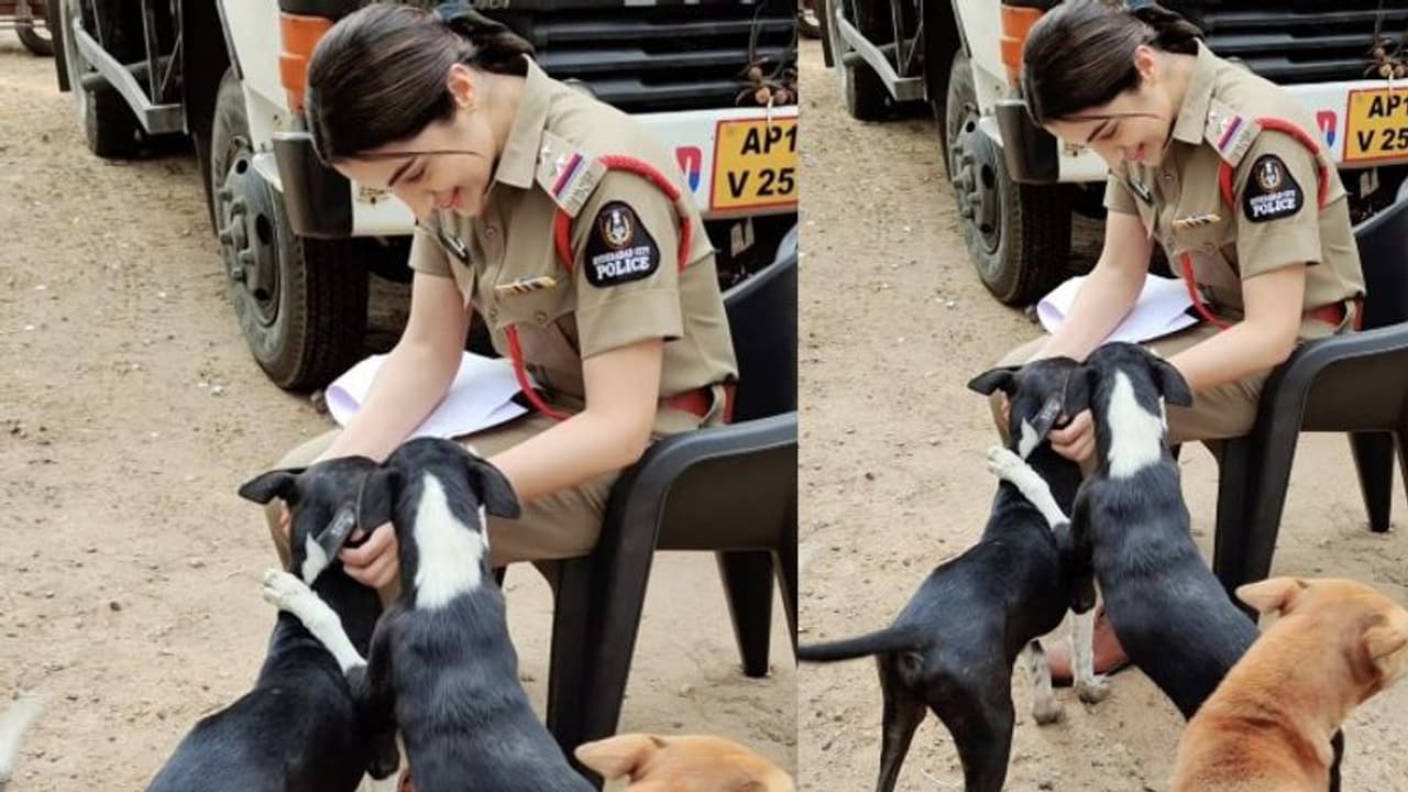 Trisha: క్యూట్ పెట్స్ తో త్రిష.. పోలీస్ డ్రెస్లో అదరగొడుతుందిగా.. ఫోటో వైరల్ Trisha: క్యూట్ పెట్స్ తో త్రిష.. పోలీస్ డ్రెస్లో అదరగొడుతుందిగా.. ఫోటో వైరల్