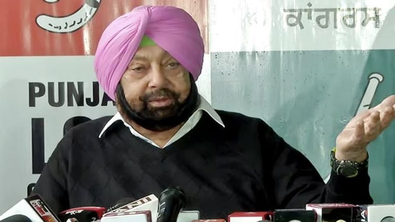 Punjab Election 2022: Congress will be wiped out, live in different world, says Amarinder Singh