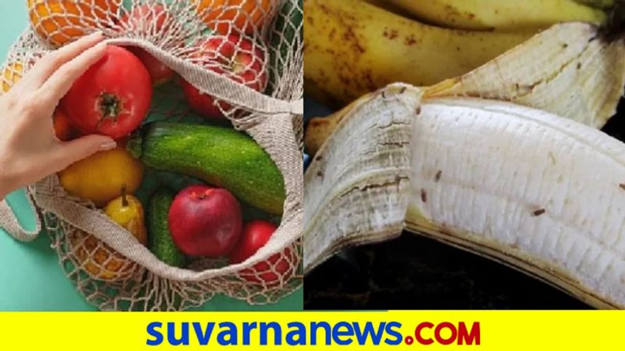 Get Rid of Fruit Flies: ಹಣ್ಣುಗಳಲ್ಲಿ ಕೂರುವ ನೊಣಗಳ ಕಾಟ ತಪ್ಪಿಸಲು ಹೀಗೆ ಮಾಡಿ Get Rid of Fruit Flies: ಹಣ್ಣುಗಳಲ್ಲಿ ಕೂರುವ ನೊಣಗಳ ಕಾಟ ತಪ್ಪಿಸಲು ಹೀಗೆ ಮಾಡಿ