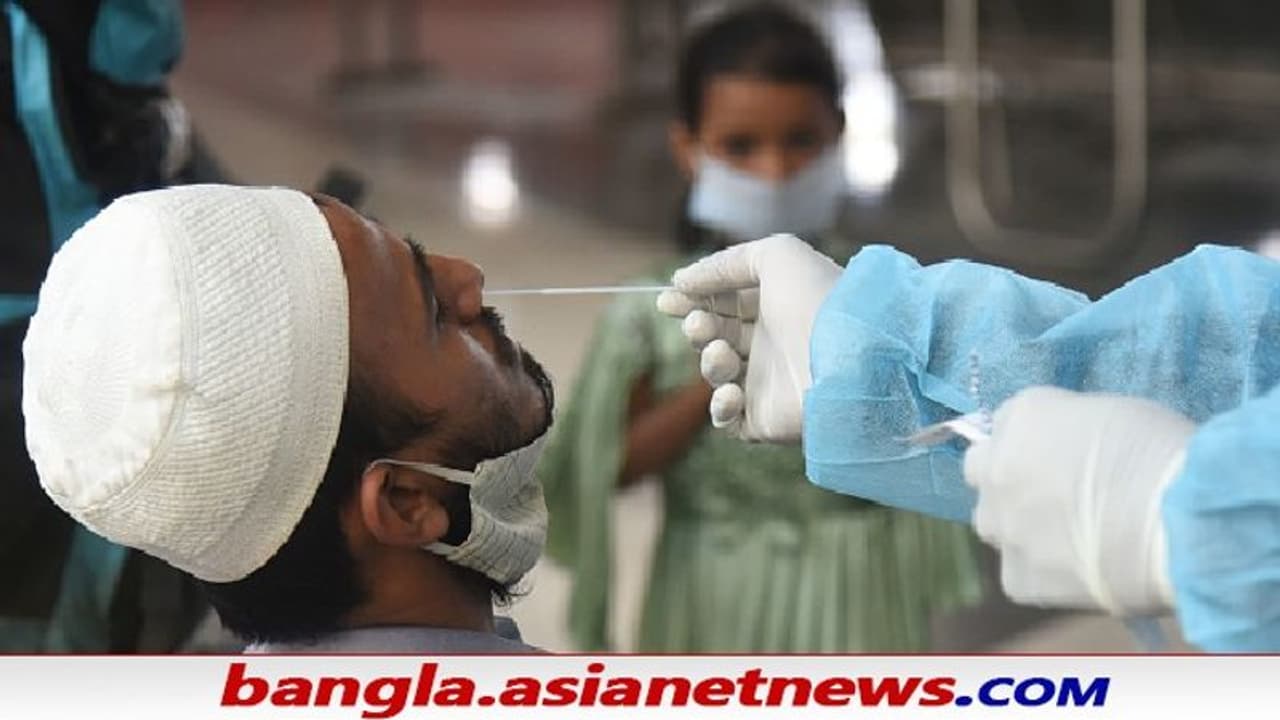 ওমিক্রন আতঙ্কের মাঝেই বেশ খানিকটা উদ্বেগ বাড়াচ্ছে নিওকোভ, এই ভাইরাস কতটা আতঙ্কের, চলছে গবেষণা ওমিক্রন আতঙ্কের মাঝেই বেশ খানিকটা উদ্বেগ বাড়াচ্ছে নিওকোভ, এই ভাইরাস কতটা আতঙ্কের, চলছে গবেষণা