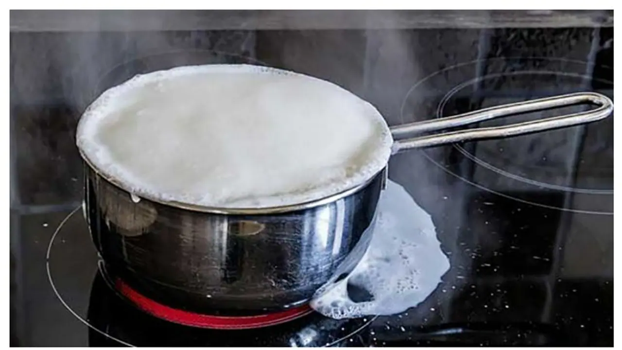 রকমারি মিষ্টি থেকে চিজ তৈরিতে কেটে যাওয়া দুধের জুড়ি মেলা ভার রকমারি মিষ্টি থেকে চিজ তৈরিতে কেটে যাওয়া দুধের জুড়ি মেলা ভার