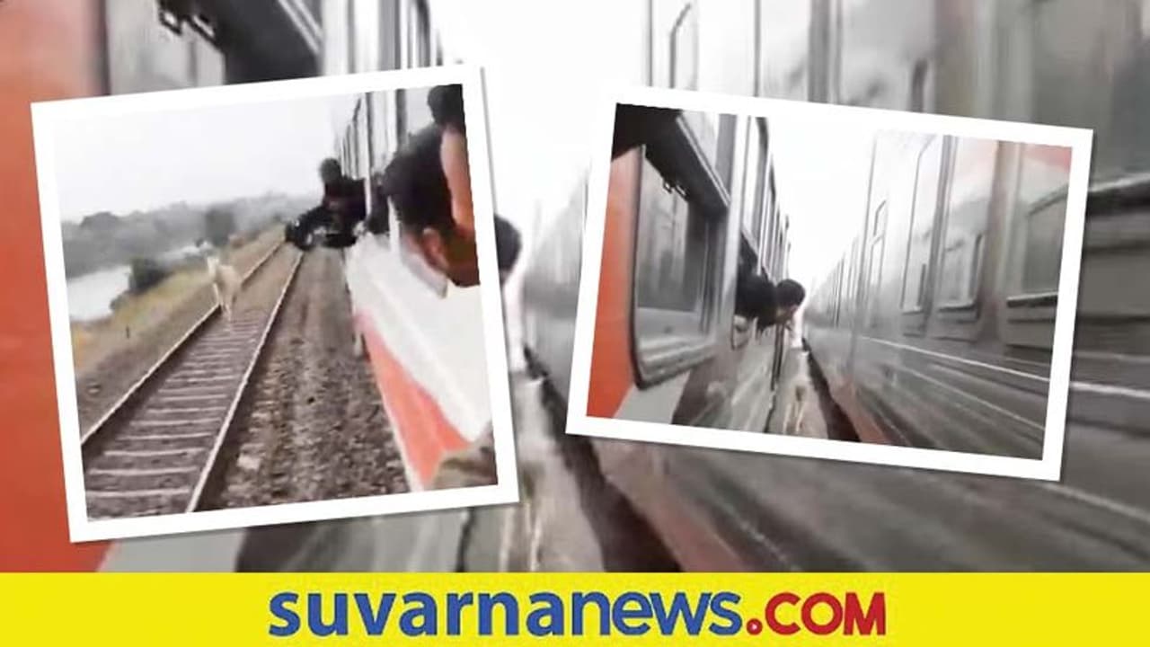 ರೈಲಿಗೆ ಸ್ಪರ್ಧೆ ನೀಡಿದ ಕುದುರೆ... ಚಲಿಸುತ್ತಿರುವ ರೈಲುಗಳ ಮಧ್ಯೆ ಓಟ: ವಿಡಿಯೋ ವೈರಲ್ ರೈಲಿಗೆ ಸ್ಪರ್ಧೆ ನೀಡಿದ ಕುದುರೆ... ಚಲಿಸುತ್ತಿರುವ ರೈಲುಗಳ ಮಧ್ಯೆ ಓಟ: ವಿಡಿಯೋ ವೈರಲ್