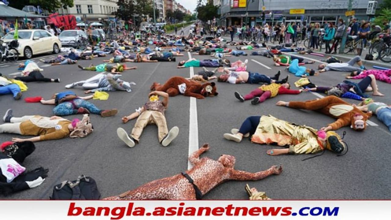 Mass Extinction on Earth: ষষ্ঠবার গণ বিলুপ্তির পথে পৃথিবী, শেষ হতে চলেছে গোটা জীবজগৎ