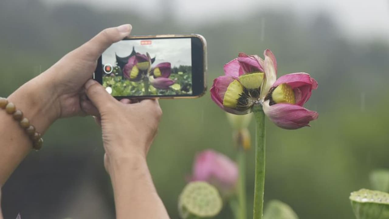 সাকসেস কি পিছে নেহি, এক্সেলেন্সকে পিছে ভাগো, আপনাদের জন্য রইল এই রকমই একটি সাফল্যের কাহিনি সাকসেস কি পিছে নেহি, এক্সেলেন্সকে পিছে ভাগো, আপনাদের জন্য রইল এই রকমই একটি সাফল্যের কাহিনি