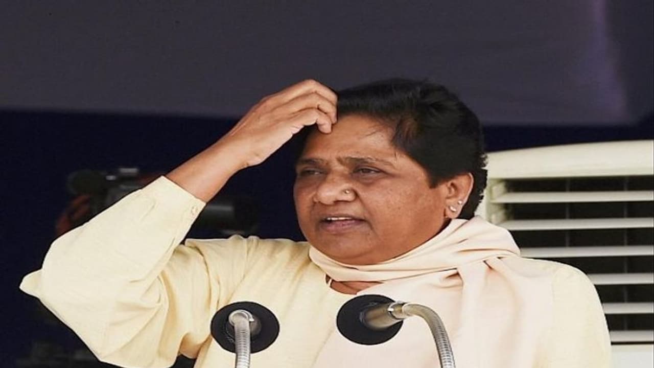 Special Story: 2022 विधानसभा चुनाव में शांत क्यों है 'मायावती की बसपा'!, जानिए ये 5 कारण Special Story: 2022 विधानसभा चुनाव में शांत क्यों है 'मायावती की बसपा'!, जानिए ये 5 कारण