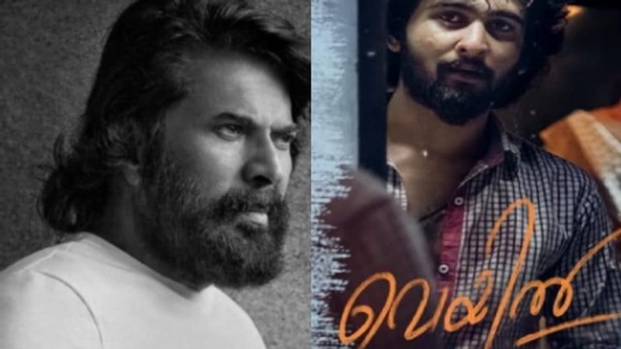 Veyil : ഷെയ്ൻ നിഗം ചിത്രം 'വെയില്' എങ്ങനെയായിരിക്കും?, ട്രെയിലര് പുറത്തുവിടാൻ മമ്മൂട്ടി Veyil : ഷെയ്ൻ നിഗം ചിത്രം 'വെയില്' എങ്ങനെയായിരിക്കും?, ട്രെയിലര് പുറത്തുവിടാൻ മമ്മൂട്ടി