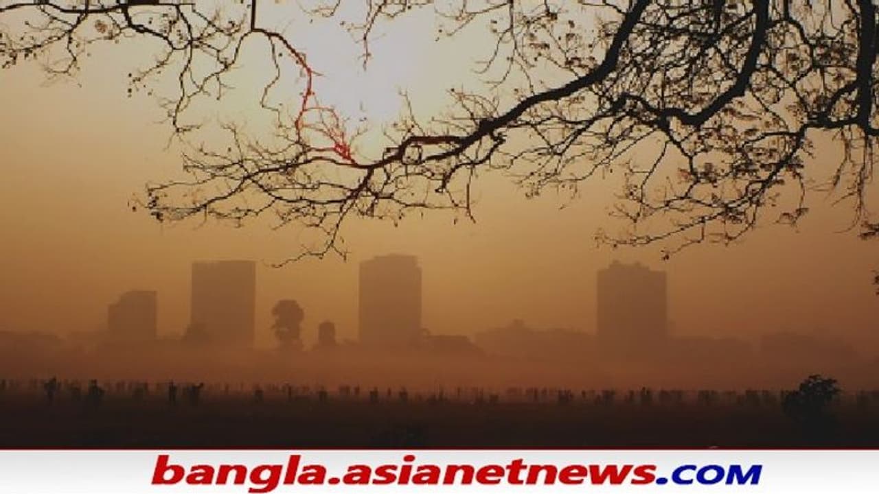 WB Weather: কুয়াশার চাদরে শুরু হল সকাল, এদিনও কি চলবে বৃষ্টি WB Weather: কুয়াশার চাদরে শুরু হল সকাল, এদিনও কি চলবে বৃষ্টি