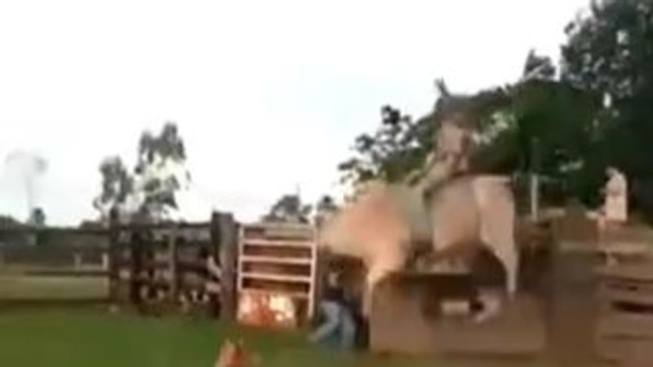 सांड की सवारी पड़ गई भारी! रास नहीं आया शख्स का पीठ पर बैठना, देखिए किक मारकर किया कैसा बुरा हाल सांड की सवारी पड़ गई भारी! रास नहीं आया शख्स का पीठ पर बैठना, देखिए किक मारकर किया कैसा बुरा हाल