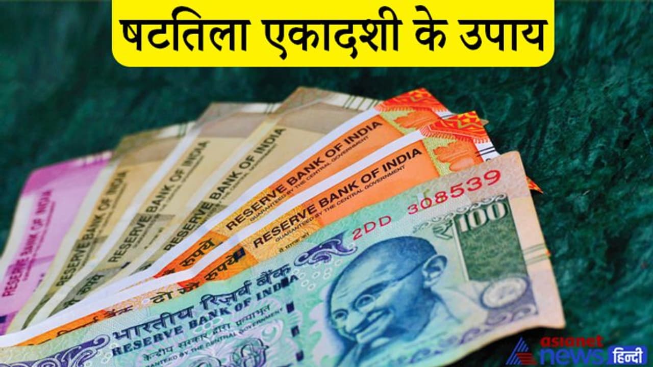 Shattila Ekadashi 2022: 28 जनवरी को शुक्रवार और एकादशी के योग में करें ये खास उपाय, हो सकता है धन लाभ Shattila Ekadashi 2022: 28 जनवरी को शुक्रवार और एकादशी के योग में करें ये खास उपाय, हो सकता है धन लाभ