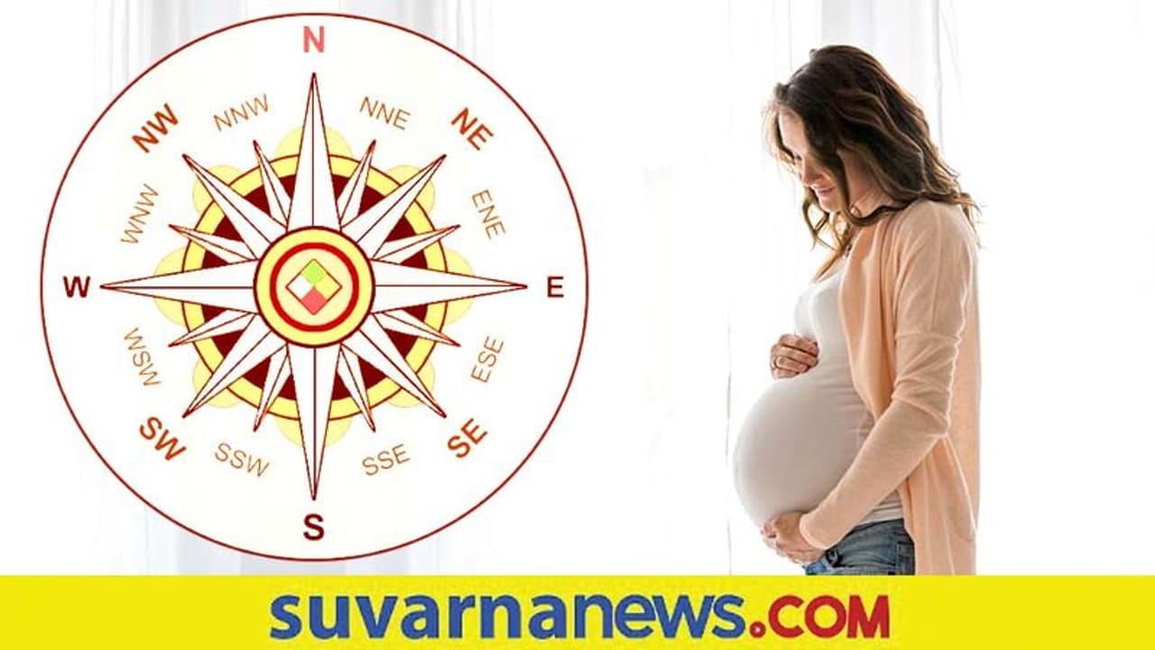 ತನ್ನ ಹಾಗೂ ಮಗುವಿನ ಆರೋಗ್ಯಕ್ಕಾಗಿ ಗರ್ಭಿಣಿ ಮಹಿಳೆಗೆ Vastu Tips