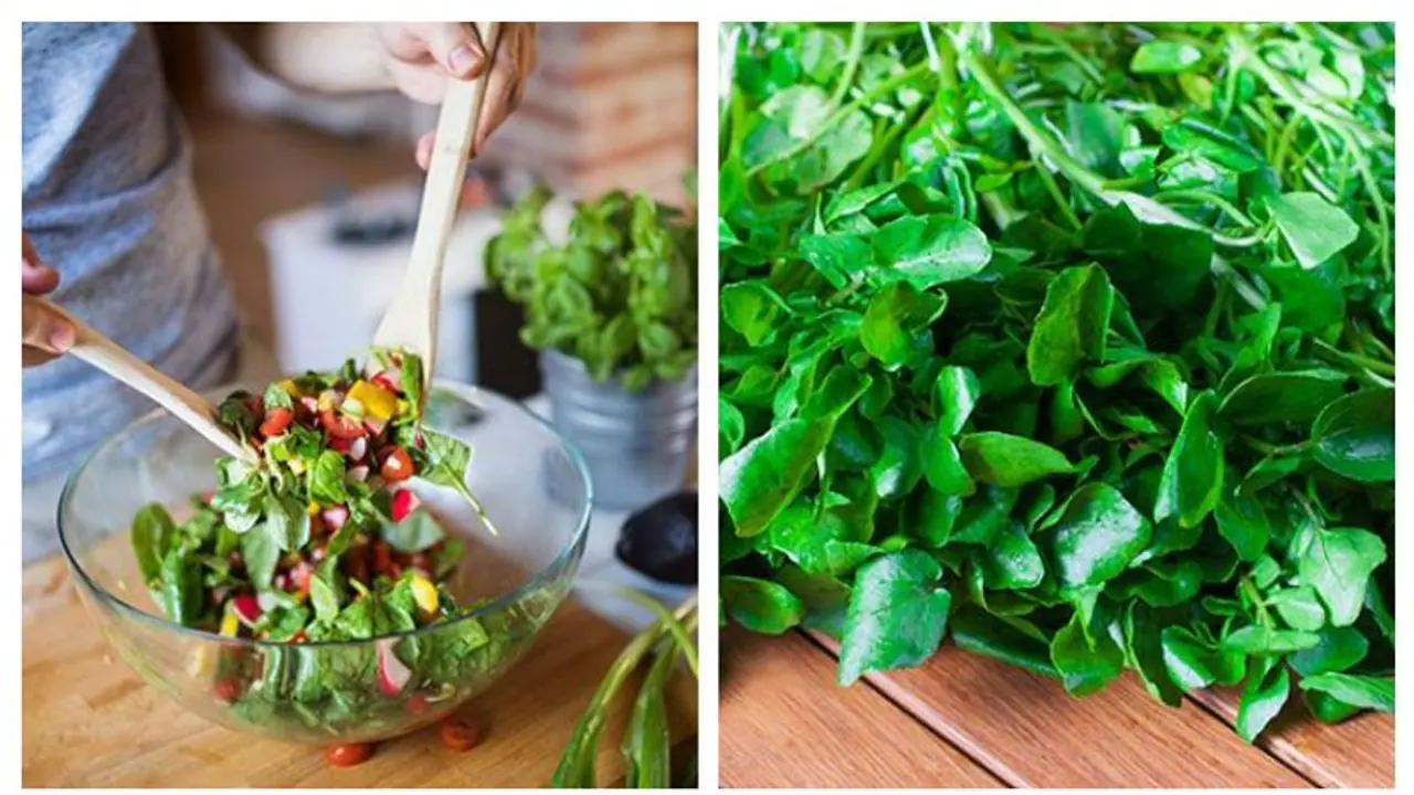 மேத்தி அல்லது வெந்தய கீரைகள்....இந்த மூன்று கீரைகளை மிஸ் பண்ணாதீங்க..! குளிர் காலத்திற்கு பெஸ்ட்!! மேத்தி அல்லது வெந்தய கீரைகள்....இந்த மூன்று கீரைகளை மிஸ் பண்ணாதீங்க..! குளிர் காலத்திற்கு பெஸ்ட்!!