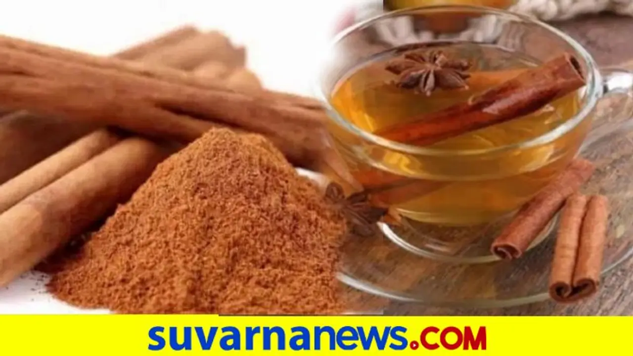Cinnamon Health Benefits: ಮಕ್ಕಳಾಗುತ್ತಿಲ್ಲ ಎಂಬ ಚಿಂತೆಯೇ ? ದಾಲ್ಚಿನ್ನಿ ತಿಂದು ನೋಡಿ