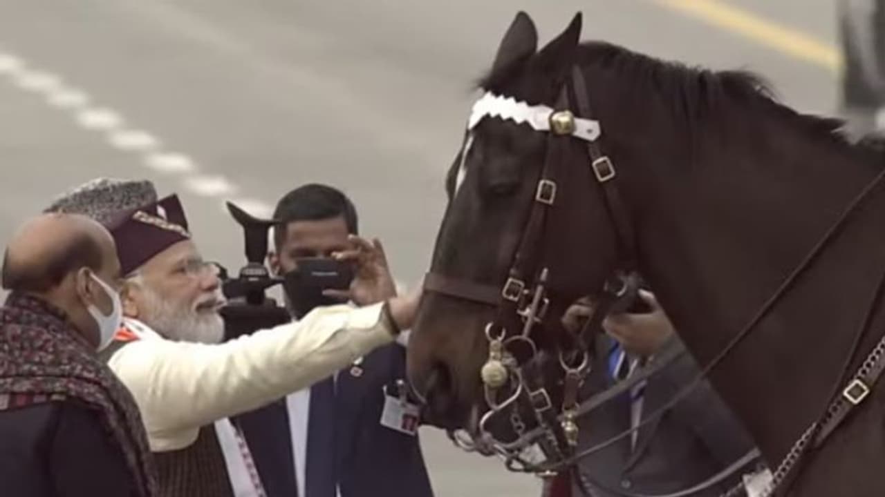 Farewell Of Virat: অবসরে রাষ্ট্রপতির বডিগার্ড বিরাট, বিদায় জানালেন প্রধানমন্ত্রী মোদী Farewell Of Virat: অবসরে রাষ্ট্রপতির বডিগার্ড বিরাট, বিদায় জানালেন প্রধানমন্ত্রী মোদী