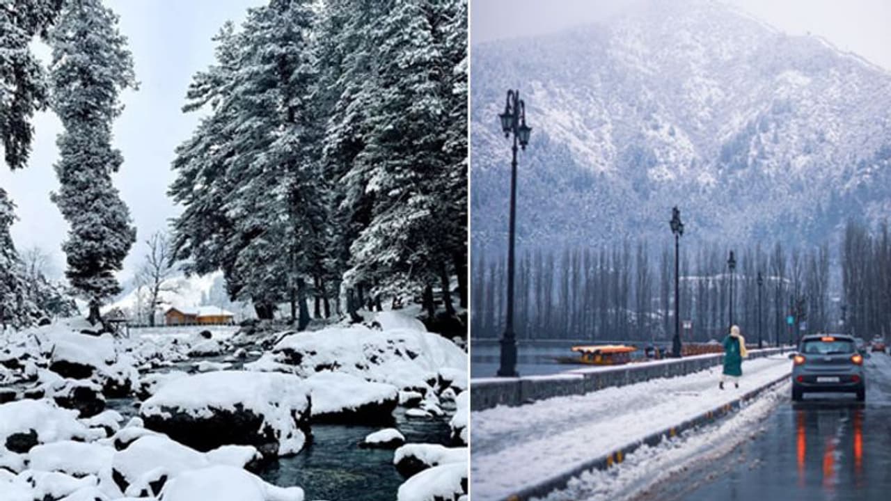 Weather Report: अगले दो तीन दिनों तक कई नहीं मिलेगी सर्दी से राहत, जानिए विभिन्न राज्यों में कैसा रहेगा मौसम Weather Report: अगले दो तीन दिनों तक कई नहीं मिलेगी सर्दी से राहत, जानिए विभिन्न राज्यों में कैसा रहेगा मौसम