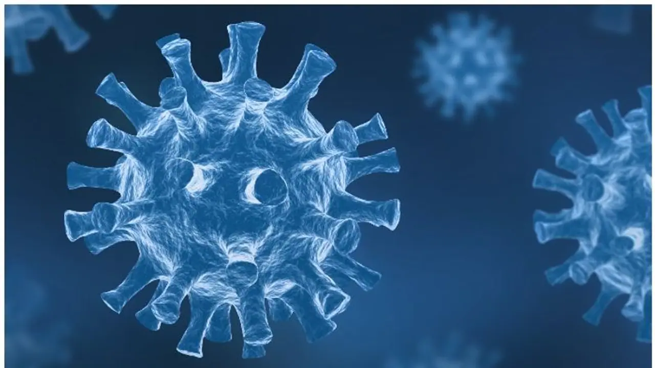 Covid 19 Sub Variant : കൊവിഡിന്റെ പുതിയ ഉപവകഭേദമായ ബിഎ 2 അപകടകാരിയോ? ​​ഗവേഷകർ പറയുന്നത്
