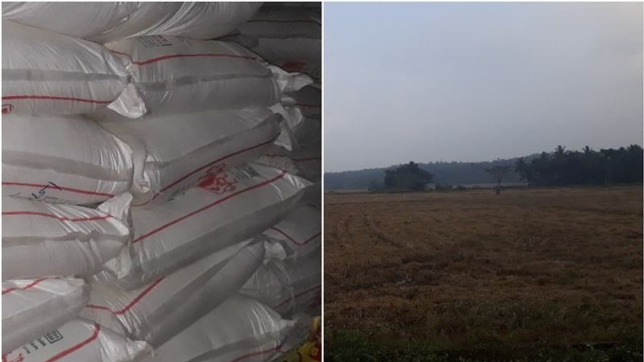 പച്ചപ്പുല്ലിന്റെ ക്ഷാമത്തോടൊപ്പം കാലിത്തീറ്റയുടെ വിലവര്ധനയും; കുറയാതെ ക്ഷീരകര്ഷകരുടെ പ്രതിസന്ധി പച്ചപ്പുല്ലിന്റെ ക്ഷാമത്തോടൊപ്പം കാലിത്തീറ്റയുടെ വിലവര്ധനയും; കുറയാതെ ക്ഷീരകര്ഷകരുടെ പ്രതിസന്ധി