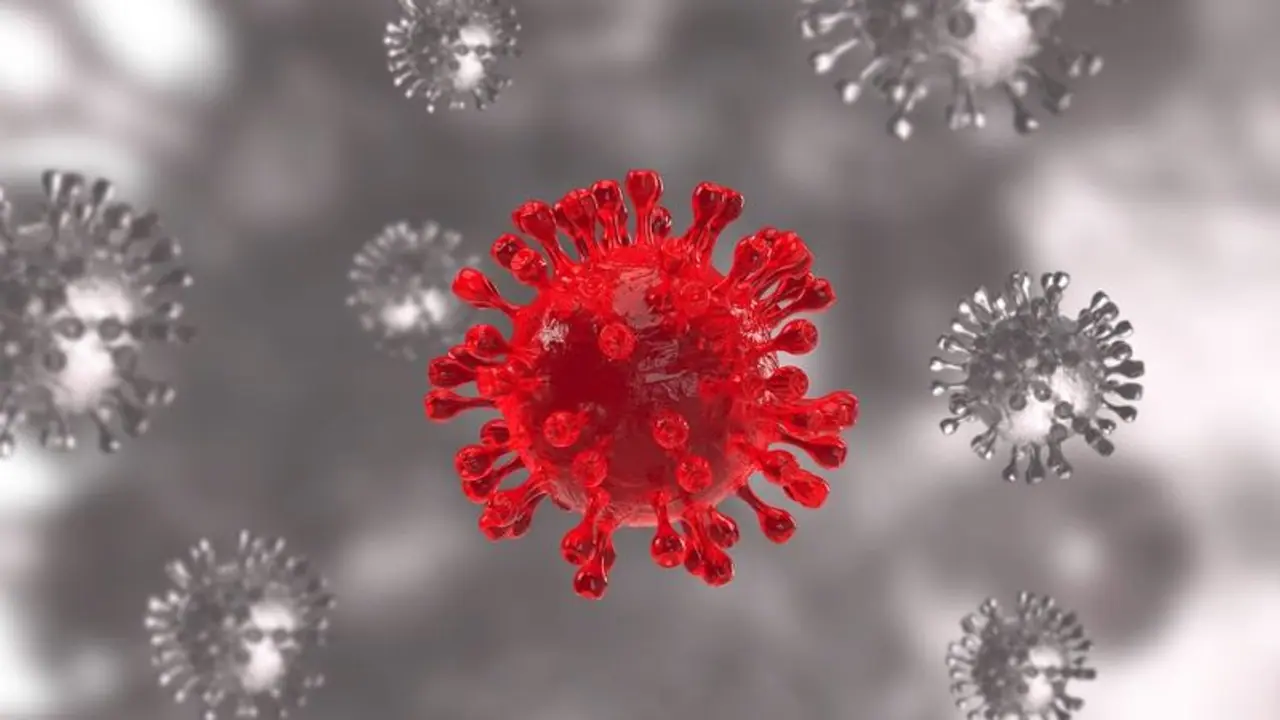 Omicron : ഒമിക്രോണിനെ സൂക്ഷിക്കുക; ഞെട്ടിക്കുന്ന പുതിയ പഠനം