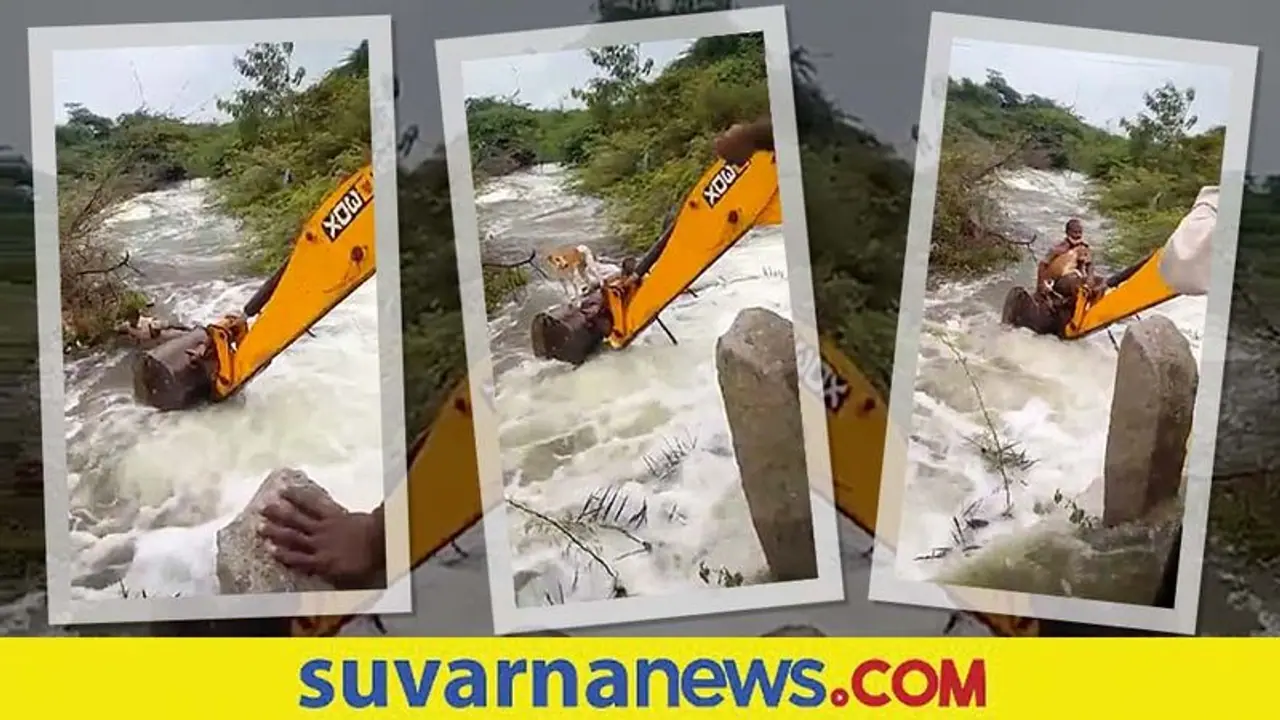 ಜೀವ ಪಣಕ್ಕಿಟ್ಟು ಶ್ವಾನವನ್ನು ರಕ್ಷಿಸಿದ ತೆಲಂಗಾಣದ ಹೋಮ್‌ಗಾರ್ಡ್