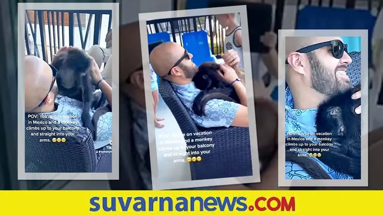 ಪ್ರೀತಿ ಬಯಸಿ ಬಂದ ಕೋತಿ... ವ್ಯಕ್ತಿಯ ಗಟ್ಟಿಯಾಗಿ ತಬ್ಬಿಕೊಂಡ ವಾನರ.. ಭಾವುಕ ವಿಡಿಯೋ