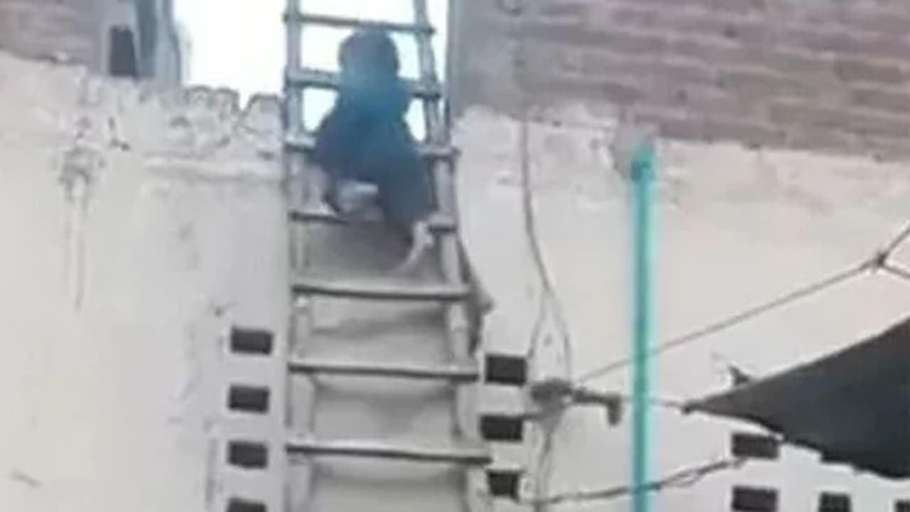 बच्चे के सीढ़ी से उतरने का अंदाज देख हैरान हुए लोग, यूजर्स ने कहा इसे Dhoom 4 का चोर बनाओ बच्चे के सीढ़ी से उतरने का अंदाज देख हैरान हुए लोग, यूजर्स ने कहा इसे Dhoom 4 का चोर बनाओ