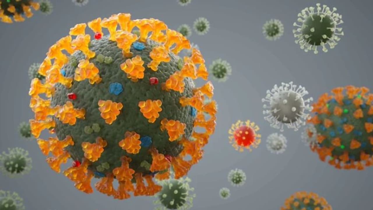 NeoCov: പുതിയ വൈറസ് 'നിയോകോവ്'; മുന്നറിയിപ്പുമായി വുഹാന് ഗവേഷകര് NeoCov: പുതിയ വൈറസ് 'നിയോകോവ്'; മുന്നറിയിപ്പുമായി വുഹാന് ഗവേഷകര്