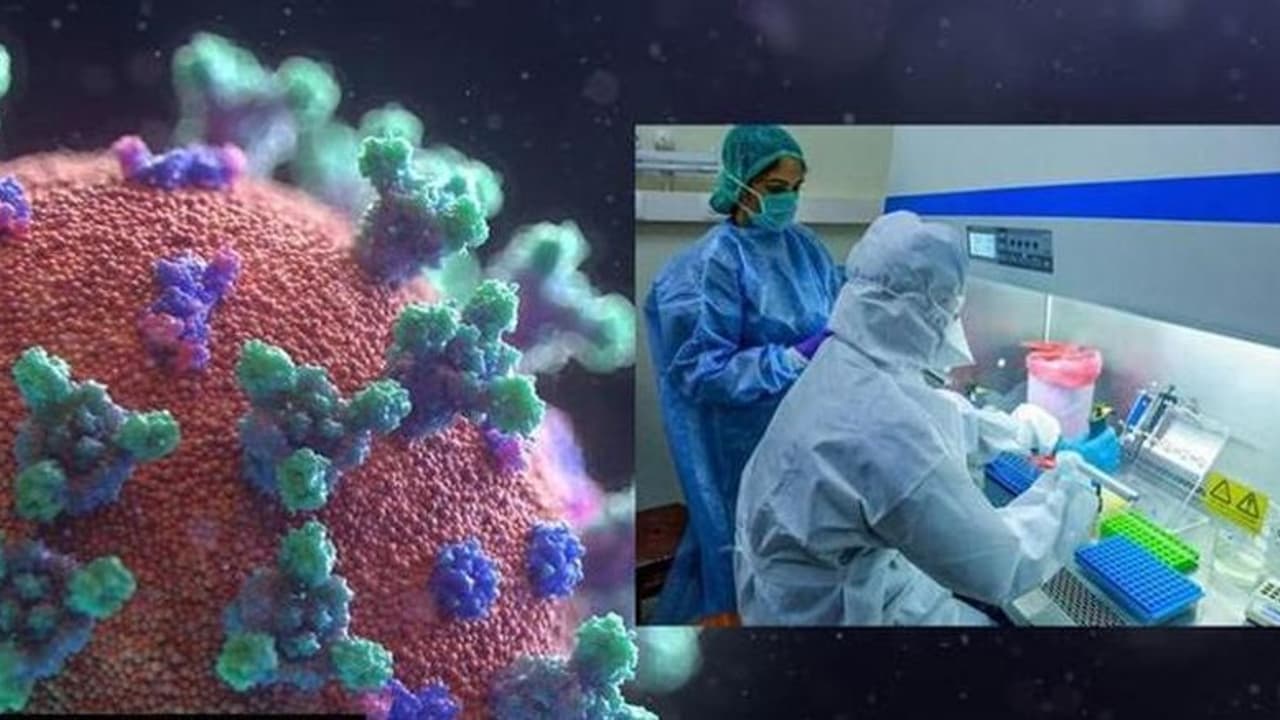 New Coronavirus NeoCov : ದಕ್ಷಿಣ ಆಫ್ರಿಕಾದಲ್ಲಿ ಹೊಸ ವೈರಸ್‌ ಪತ್ತೆ!