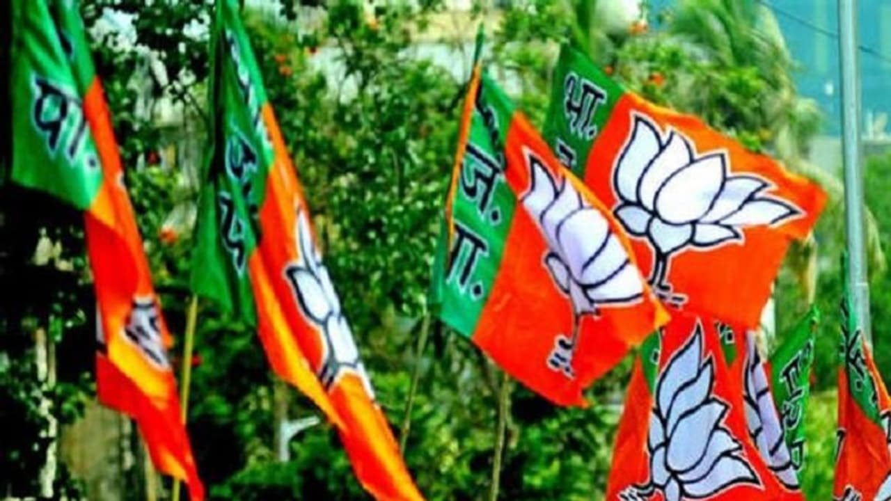 यूपी चुनाव: आचार संहिता उल्लंघन का मुकादमा हुआ दर्ज, भाजपा का है प्रत्याशी, बेटे समेत 250 अज्ञात लोग शामिल