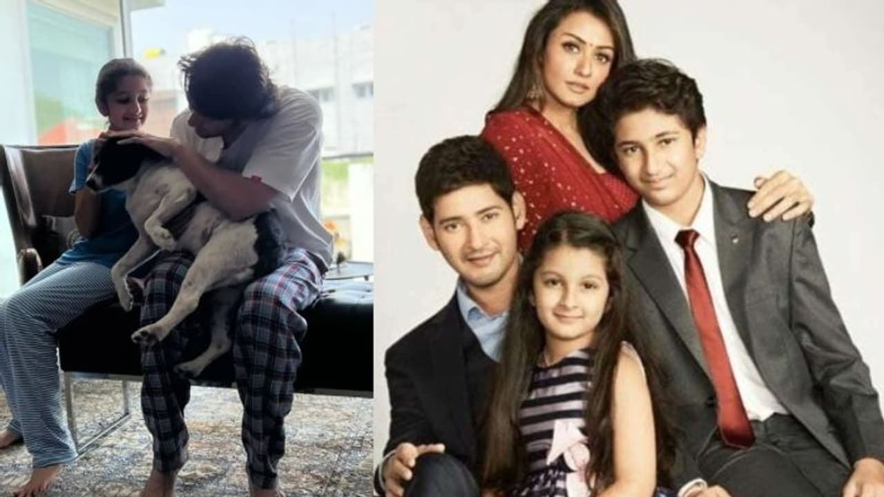 Mahesh Babu : కూతురితో కలిసి ఆటలో మునిగిన సూపర్ స్టార్.. క్లిక్కుమనిపించిన నమ్రత Mahesh Babu : కూతురితో కలిసి ఆటలో మునిగిన సూపర్ స్టార్.. క్లిక్కుమనిపించిన నమ్రత