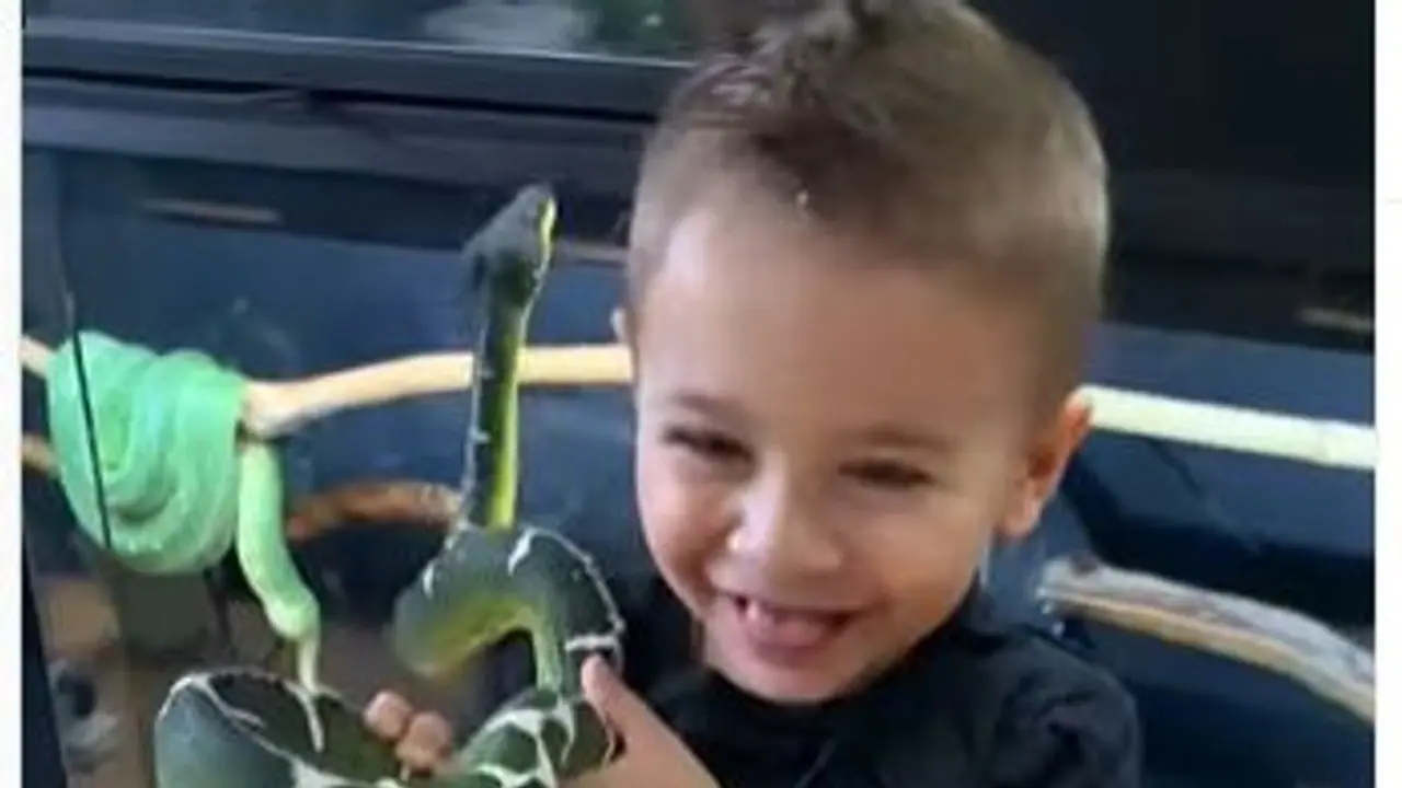 जहरीले सांप के साथ खिलौने की तरह खेल रहा बच्चा, देखिए हैरान करने वाला ये वीडियो