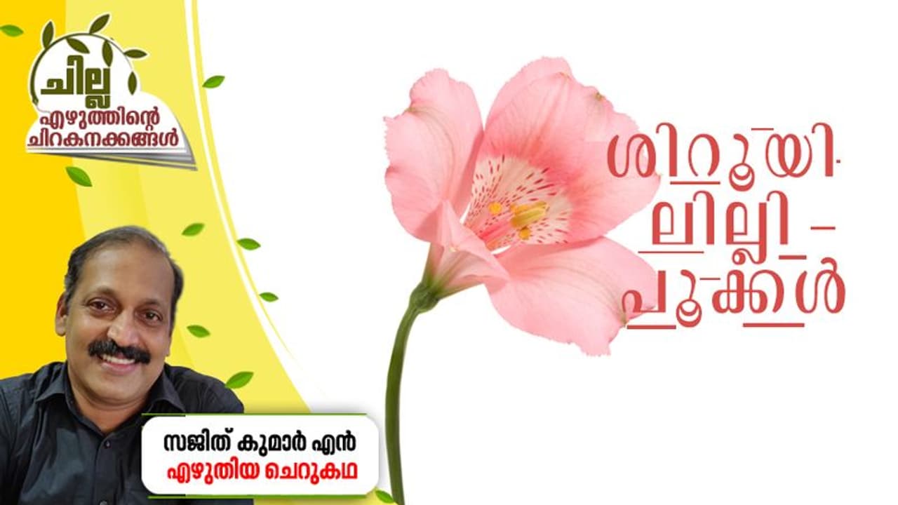 Malayalam Short Story : ശിറൂയി ലില്ലി പൂക്കള്, സജിത് കുമാര് എന് എഴുതിയ ചെറുകഥ Malayalam Short Story : ശിറൂയി ലില്ലി പൂക്കള്, സജിത് കുമാര് എന് എഴുതിയ ചെറുകഥ