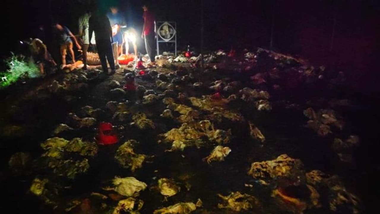 കൂടരഞ്ഞിയിൽ കോഴി ഫാമിന് തീപിടിച്ച് നാലായിരത്തിൽ പരം കോഴികൾ ചത്തു കൂടരഞ്ഞിയിൽ കോഴി ഫാമിന് തീപിടിച്ച് നാലായിരത്തിൽ പരം കോഴികൾ ചത്തു