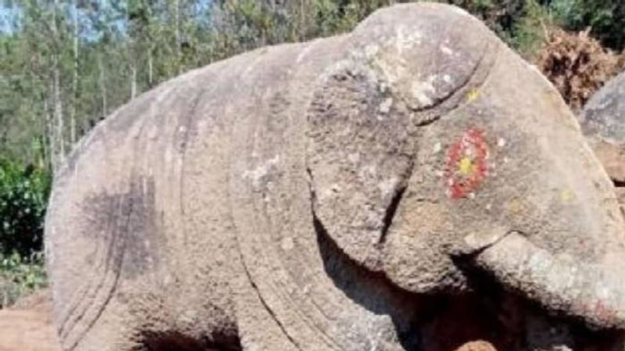 Sleeping elephant statue : ചരിഞ്ഞുറങ്ങുന്ന ആനയുടെ കൂറ്റൻപ്രതിമ, അപശകുനമെന്ന് നാട്ടുകാർ, സഹികെട്ട് നേരെവച്ചു Sleeping elephant statue : ചരിഞ്ഞുറങ്ങുന്ന ആനയുടെ കൂറ്റൻപ്രതിമ, അപശകുനമെന്ന് നാട്ടുകാർ, സഹികെട്ട് നേരെവച്ചു