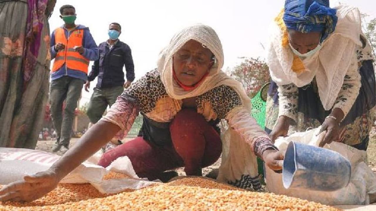 ഭക്ഷണത്തിന് വേണ്ടി യാചിക്കുന്നവരിൽ വമ്പന് ആശുപത്രിയിലെ ഡോക്ടര്മാര് വരെ, അതീവദുരിതത്തില് ടിഗ്രേ ഭക്ഷണത്തിന് വേണ്ടി യാചിക്കുന്നവരിൽ വമ്പന് ആശുപത്രിയിലെ ഡോക്ടര്മാര് വരെ, അതീവദുരിതത്തില് ടിഗ്രേ